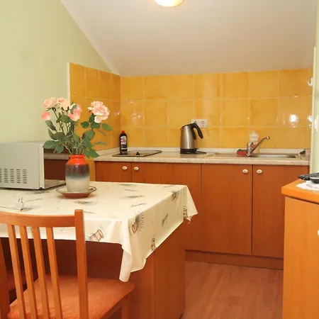 Apartman With A Parking Space Mlini, Dubrovnik - 8569 *