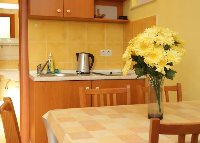 With A Parking Space Mlini, Dubrovnik - 8569 Apartman Mlini